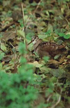 H �����������